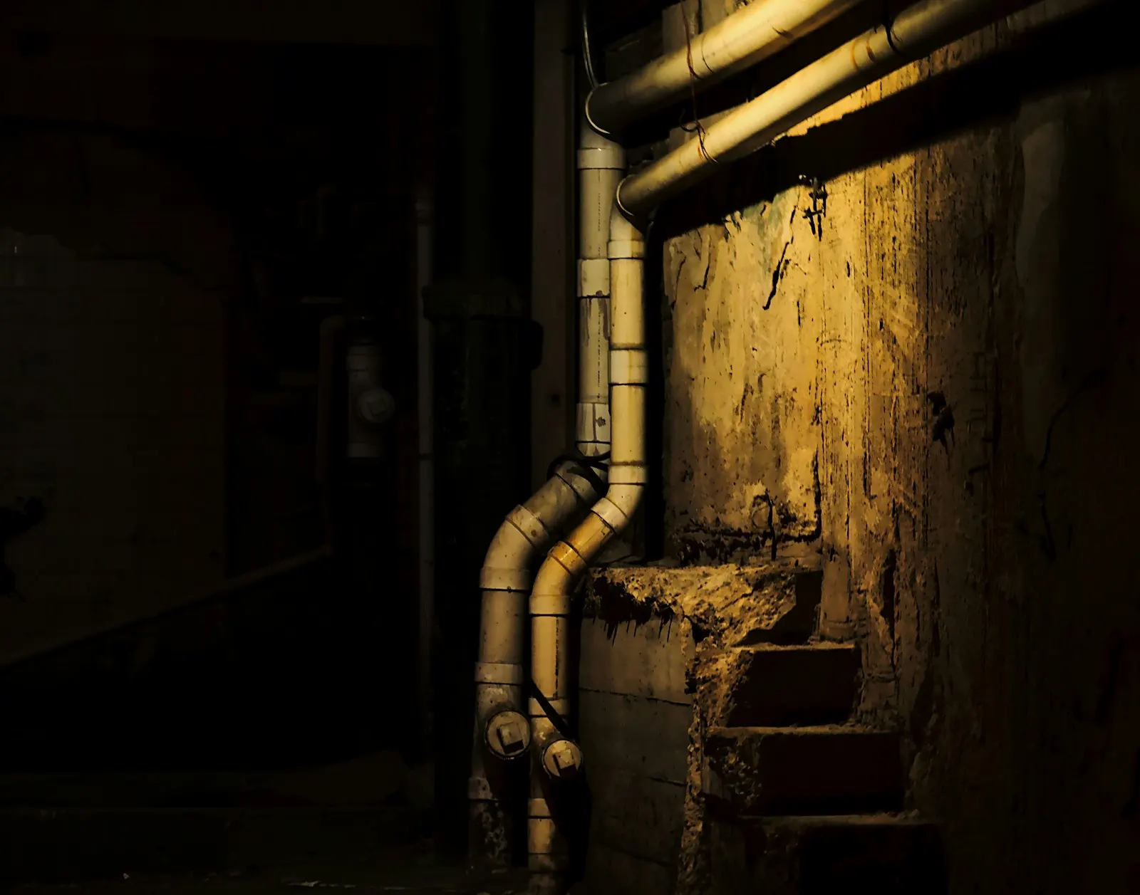 A dim basement with pipes running along the wall
